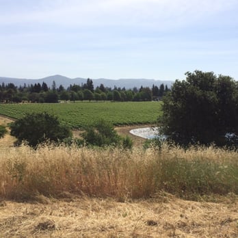Alston Park - Vineyards along the trail - Dog Parks Near Me - Napa, California Alston Park - Vineyards along the trail - Dog Parks Near Me - Napa, California