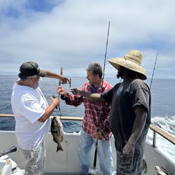 Channel Islands Sportfishing Center - Catch