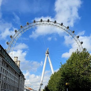London Eye River Cruise - Local Flavor Near Me - Lambeth, XGL