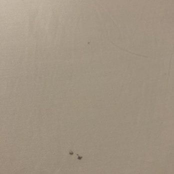 AC Hotel Irvine - Stained sheets. I'm sure they were washed but they couldn't get this stain out.. - Hotels Near Me - Irvine, California