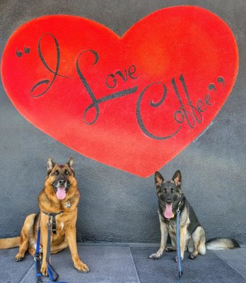 Dam Good Coffee LLC by null