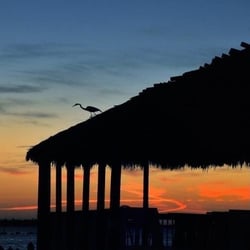 Safe Harbor Pineland - Pineland Marina tiki at sunset; beautiful