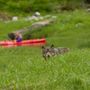 Photo of Alaska Sea Adventures