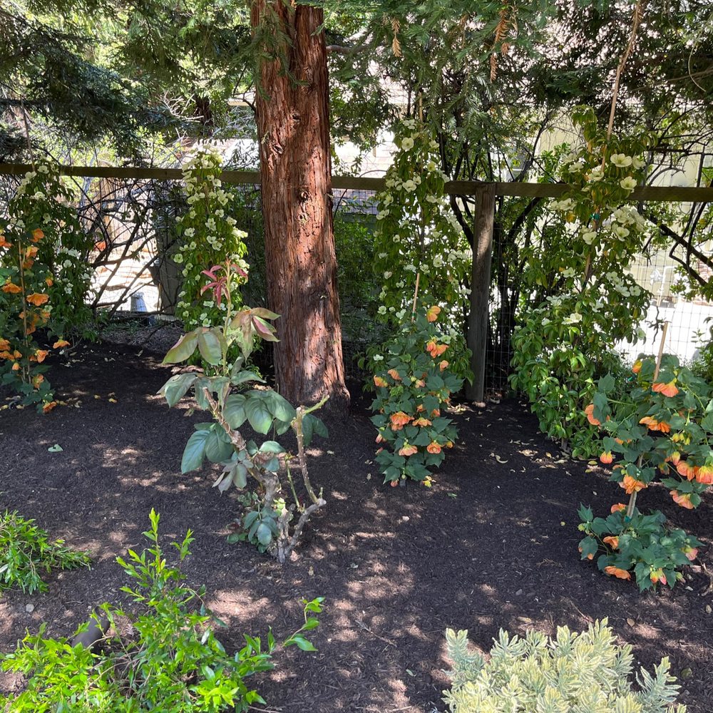 Geared for Growing - Landscaping Near Me - Healdsburg, California Geared for Growing - Landscaping Near Me - Healdsburg, California