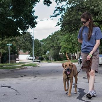 Koinonia Training and Boarding - Pet Training Near Me