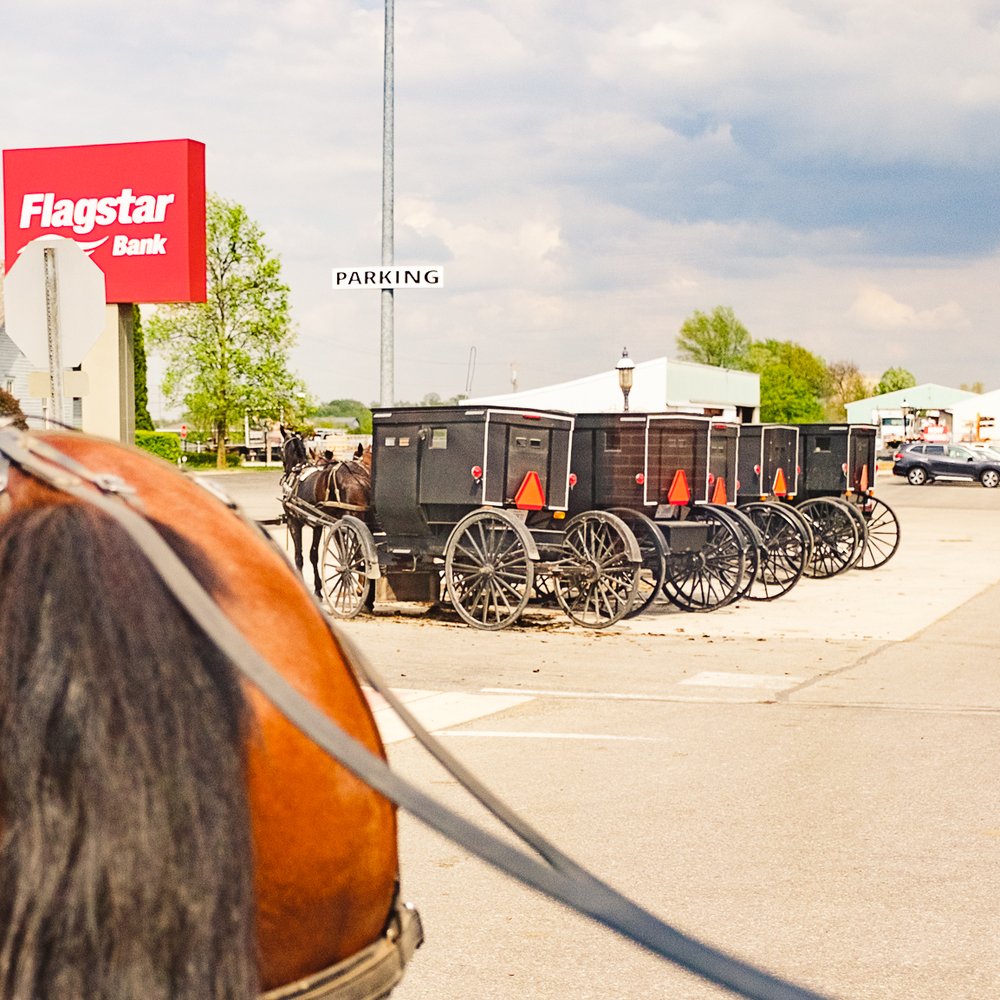 Buggy Lane Tours - Tours Near Me - Shipshewana, Indiana Buggy Lane Tours - Tours Near Me - Shipshewana, Indiana