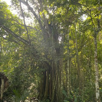 Lawsons Original Yucatan Excursions - Tours Near Me - Merida, YUC