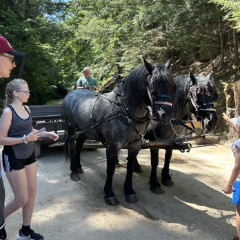 Lost Canyon Tours - Amusement Parks Near Me - Wisconsin Dells, Wisconsin Lost Canyon Tours - Amusement Parks Near Me - Wisconsin Dells, Wisconsin