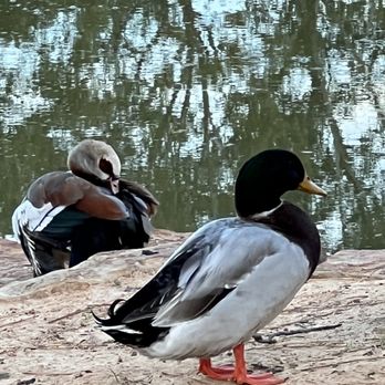 Forest Oaks Park - Parks Near Me - Spring, Texas