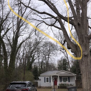 Premier Tree Care - Tree Services Near Me - Greer, South Carolina Premier Tree Care - Tree Services Near Me - Greer, South Carolina