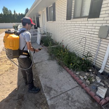 Certified Pest Control - Pest Control Near Me - Rupert, Idaho Certified Pest Control - Pest Control Near Me - Rupert, Idaho