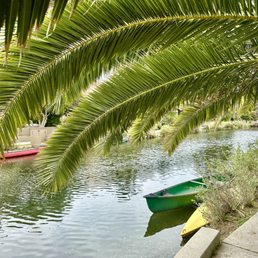 Beautiful scenery & relaxing walk! Cute dogs, tour groups & vibrant flowers along the way! Beautiful scenery & relaxing walk! Cute dogs, tour groups & vibrant flowers along the way!