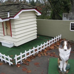 Bobbie the Wonder Dog