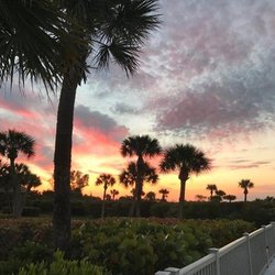 Sanibel Holiday - Untitled