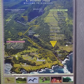 Waimoku falls - Hiking Near Me Waimoku falls - Hiking Near Me