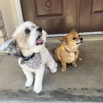 Palm Bluff Paws - Pet Groomers Near Me - Fresno, California