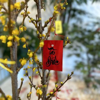 Mirakuru - Tết decorations (Feb 2024) - Coffee & Tea Near Me - Garden Grove, California Mirakuru - Tết decorations (Feb 2024) - Coffee & Tea Near Me - Garden Grove, California