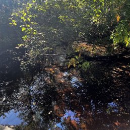 Serene surroundings Serene surroundings