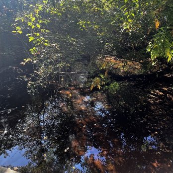 Quogue Wildlife Refuge - Serene surroundings - Parks Near Me - Quogue, New York Quogue Wildlife Refuge - Serene surroundings - Parks Near Me - Quogue, New York