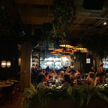Aba - Mediterranean Near Me - Austin, Texas