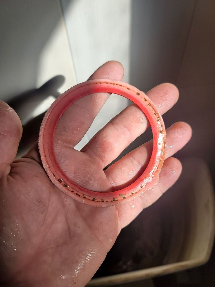 Slide of Quahog Plumbing