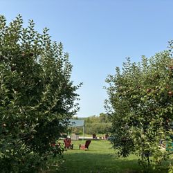 Blackman Homestead Farm - What a scene!