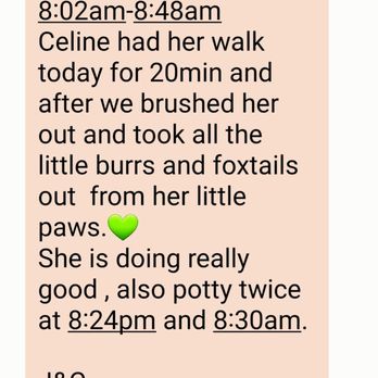 Walk With The Gals - I love the text updates and the pictures of Celine while  they are out and about. - Dog Walkers Near Me