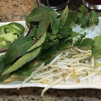 V Bistro - Bean sprouts don't look too fresh. }:{ - Vietnamese Near Me - Humble, Texas V Bistro - Bean sprouts don't look too fresh. }:{ - Vietnamese Near Me - Humble, Texas