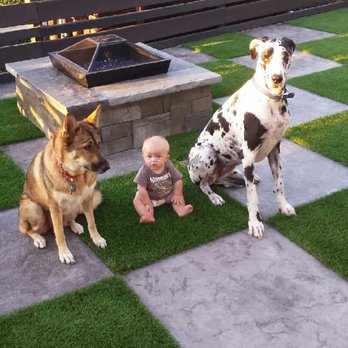 Barking Beauties Mobile Salon - Pet Groomers Near Me Barking Beauties Mobile Salon - Pet Groomers Near Me