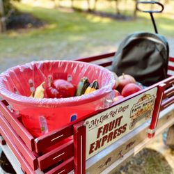 Brecknock Orchard - Wagon with collection baskets; apples & varietal peppers