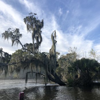 Airboat Adventures - Boat Tours Near Me - Lafitte, Louisiana