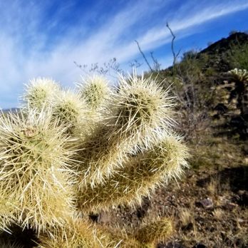 Thunderbird Park - Cholla @ Thunderbird. - Parks Near Me - Glendale, Arizona