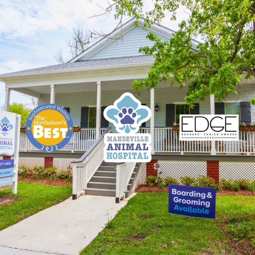 MANDEVILLE ANIMAL HOSPITAL Updated September 2024 30 Photos 419