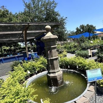 Nelson Water Gardens & Nursery - One of many water features - Nurseries & Gardening Near Me - Katy, Texas Nelson Water Gardens & Nursery - One of many water features - Nurseries & Gardening Near Me - Katy, Texas
