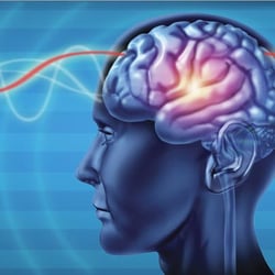 The New Jersey Institute For Neurofeedback