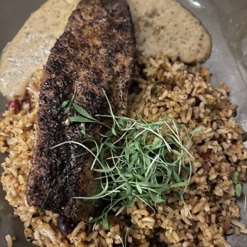 Zeke's Restaurant - Blackened Cobia (spicy beans and rice & delicious sauce!) - Salad Near Me - Orange Beach, Alabama Zeke's Restaurant - Blackened Cobia (spicy beans and rice & delicious sauce!) - Salad Near Me - Orange Beach, Alabama
