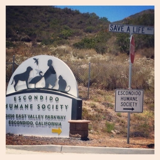 LOCKHART TRAINING - Updated January 2026 - San Diego, California ...