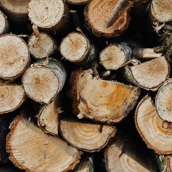 Big Ease Tree Service - Tree Services Near Me