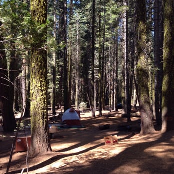 Crane Flat Campground - Campsite 519 - Campgrounds Near Me - Tuolumne, California