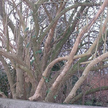Middlesex Filter Bed Nature Reserve - Hotels & Travel Near Me - London, XGL
