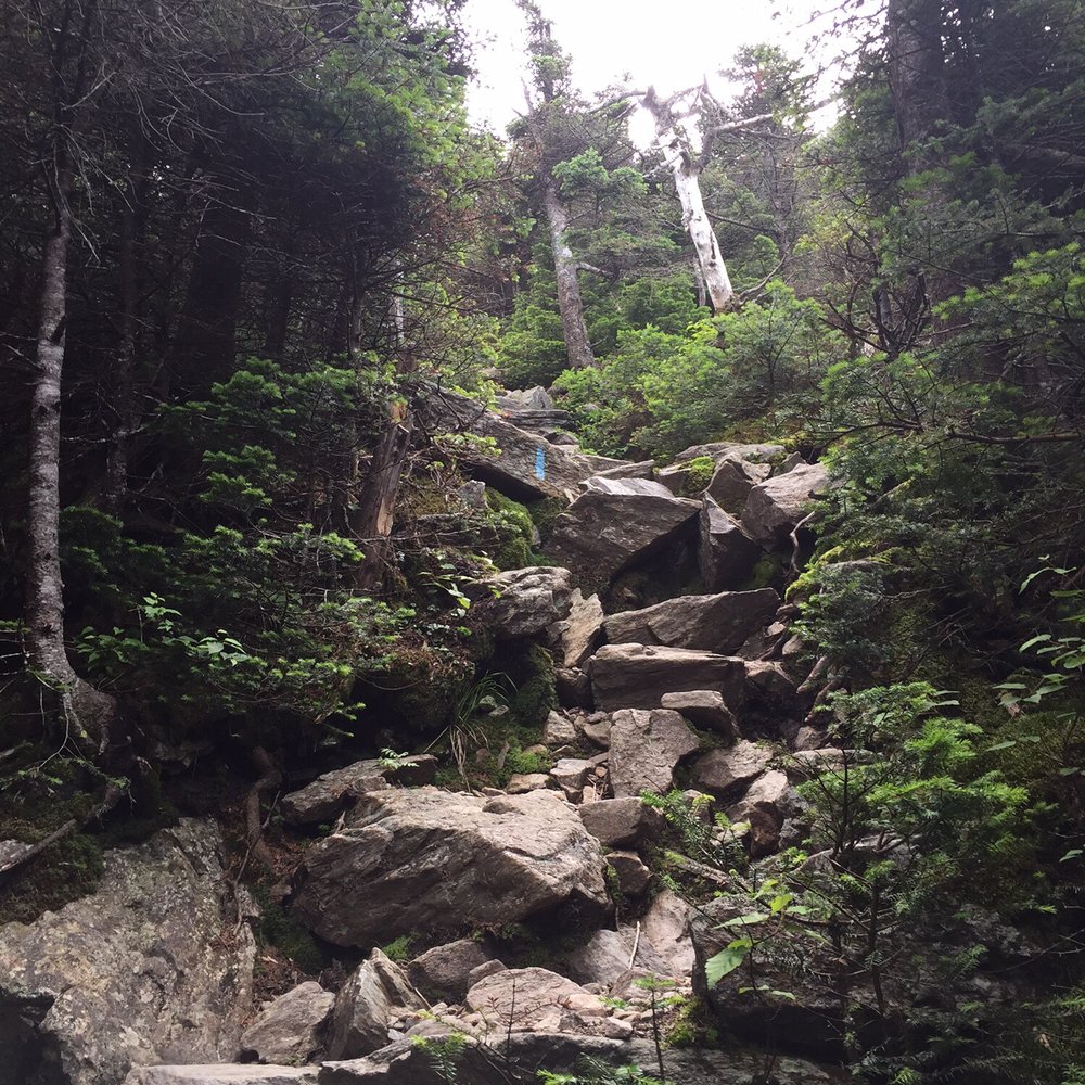 Bucklin Trail - Hiking Near Me - Mendon, Vermont