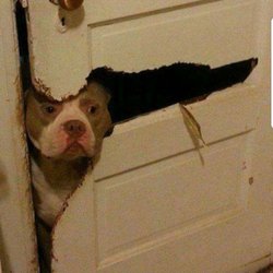 Hero Lock Services - Lost your key? No problem, we can re-key your locks and replace doors.