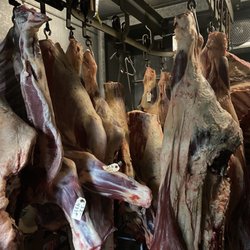 Dan's Meat Market - Custom steer processing