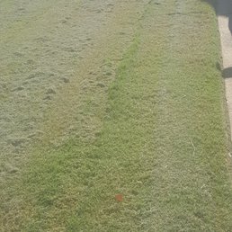 This is after my grass was cut, grass patches, lines crooked, a complete mess!