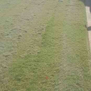 Mow It Right - This is after my grass was cut, grass patches, lines crooked, a complete mess! - Irrigation Near Me - Olive Branch, Mississippi