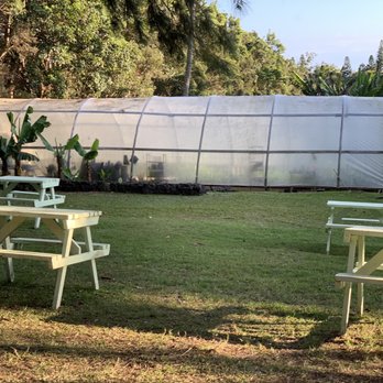 Paradise Meadows, South Point Road - Some tables to sit - Tours Near Me - Naalehu, Hawaii