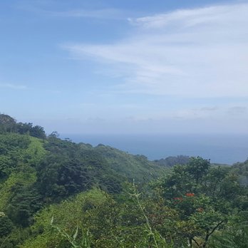 Maui Paradise Tours - Historical Tours Near Me