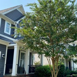 Exterior photo of Amigo Tree Service Exterior photo of Amigo Tree Service