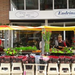 Endrina