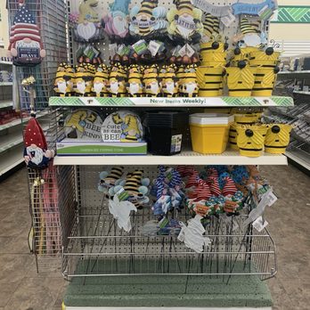 Dollar Tree - Discount Store Near Me - Casa Grande, Arizona Dollar Tree - Discount Store Near Me - Casa Grande, Arizona